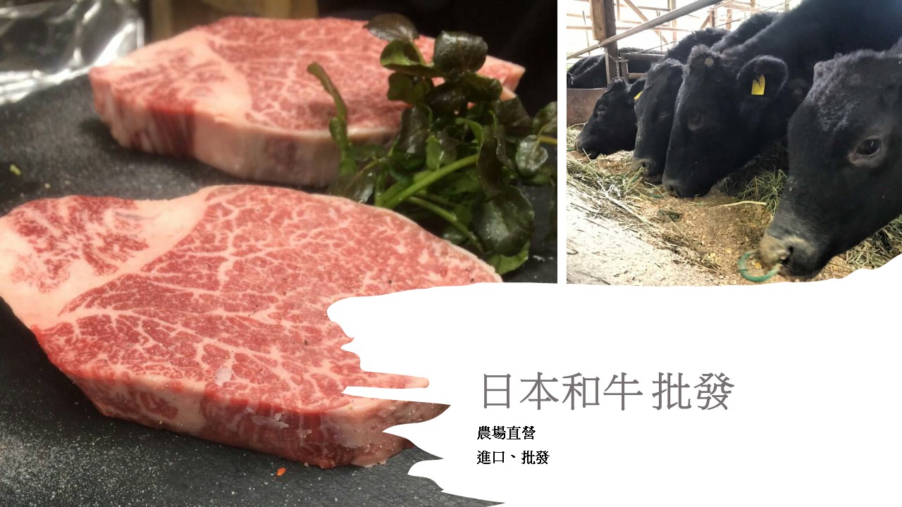 日本和牛 批發進口